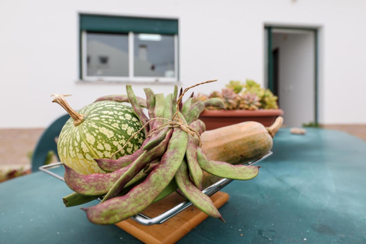 Casas Com Amoras In Serra Da Pescaria Famalicão Exterior foto