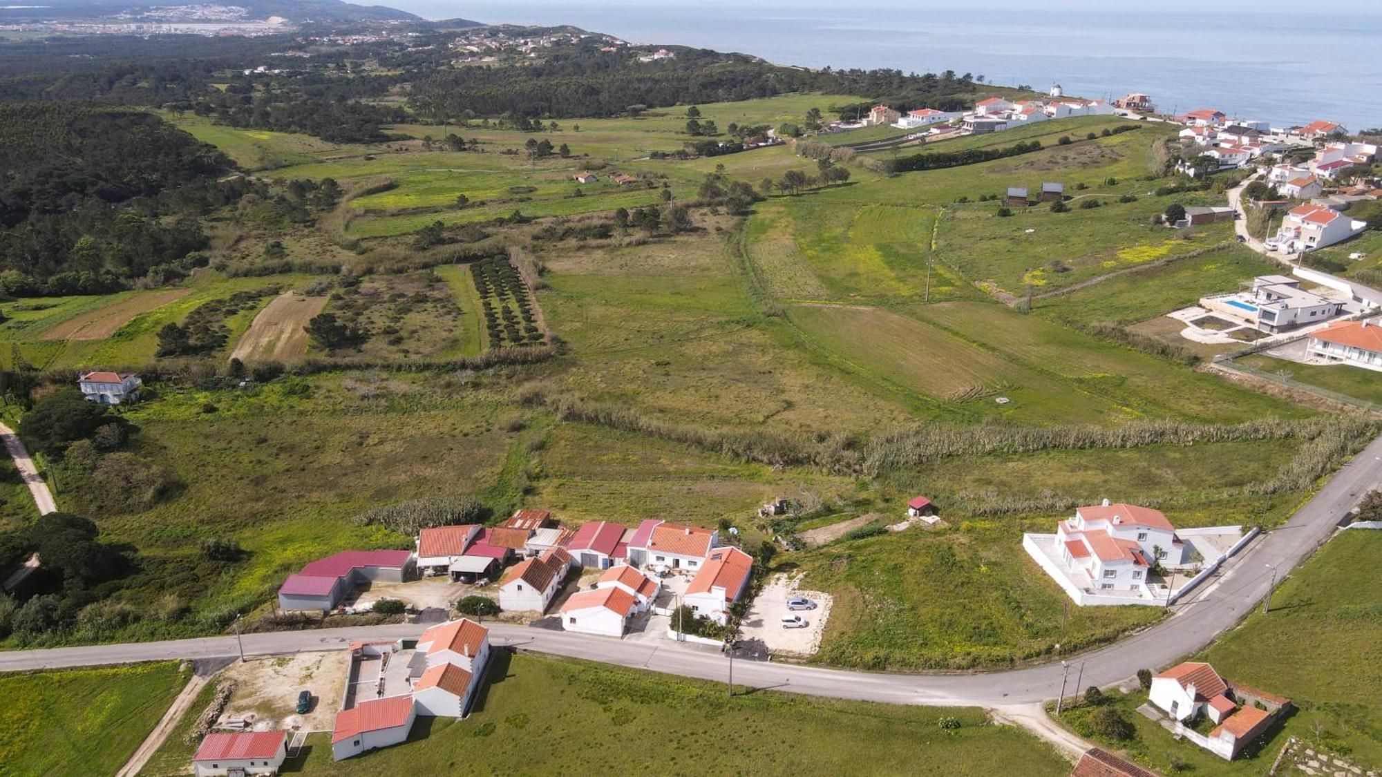 Casas Com Amoras In Serra Da Pescaria Famalicão Exterior foto